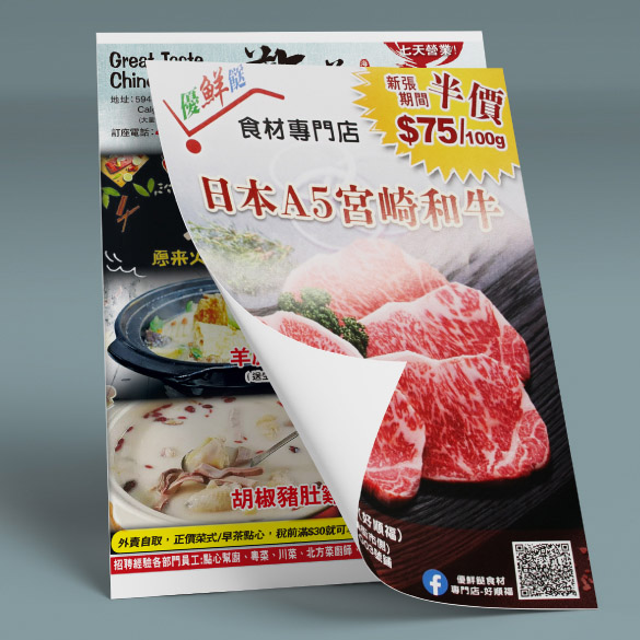 Digital Leaflets (50 pcs)